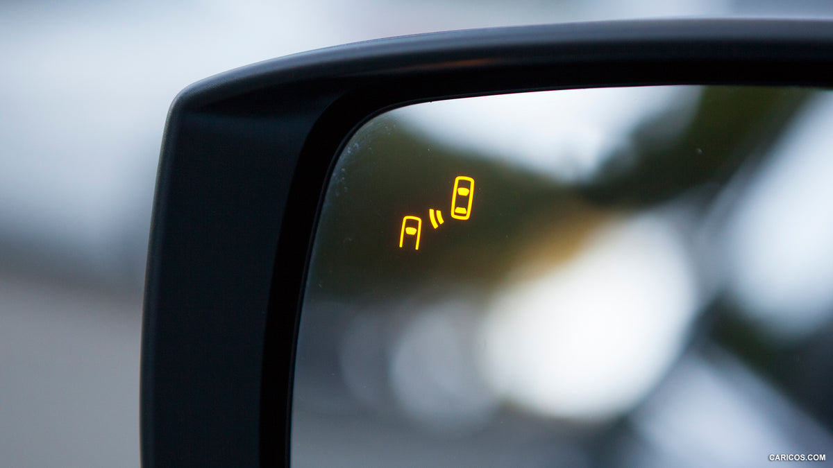 AccessDrive ™ Mirror Blind Spot Monitoring System